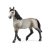 Schleich Cseval de Selle Francais kanca