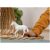 Schleich Camarillo kanca