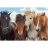 Ravensburger Puzzle 2x24 db - Lovak