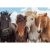 Ravensburger Puzzle 2x24 db - Lovak