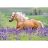 Ravensburger Puzzle 2x24 db - Lovak