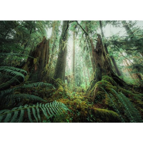 Ravensburger Puzzle 1000 db - Fák