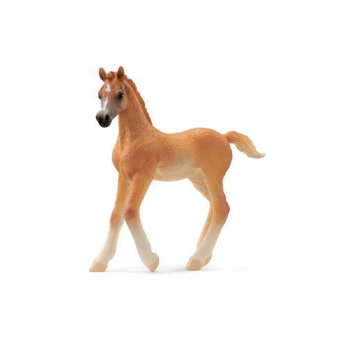 Schleich Arab csikó