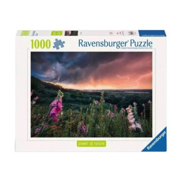 Puzzle 1000 db - Vihar elõtt