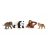 Schleich Wild Life Ázsia Induló Készlet
