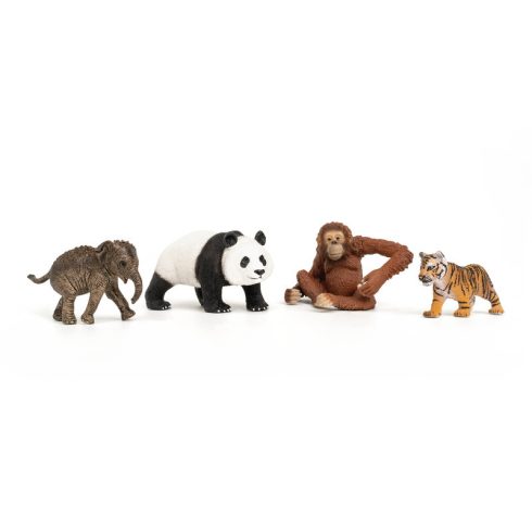 Schleich Wild Life Ázsia Induló Készlet