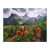 Puzzle 2000 db - Pristinai hegyek