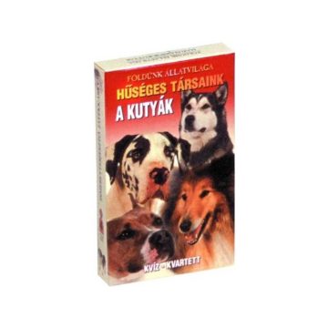 A kutyák