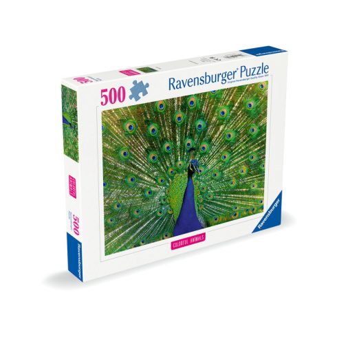Puzzle 500 db - Páva