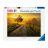Puzzle 1000 db - Napkelte