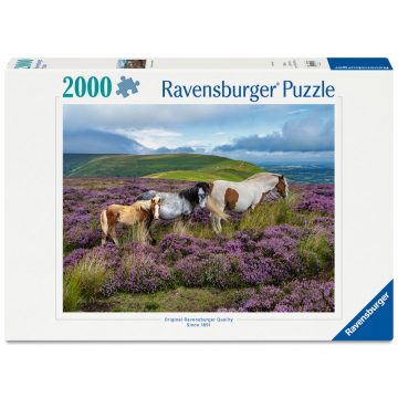 Puzzle 2000 db - Vadlovak a mezõn