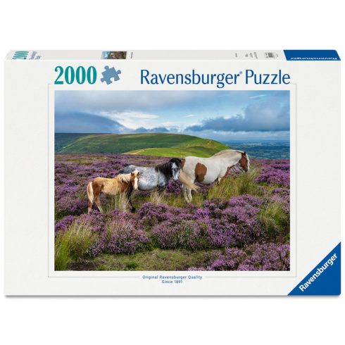 Puzzle 2000 db - Vadlovak a mezõn