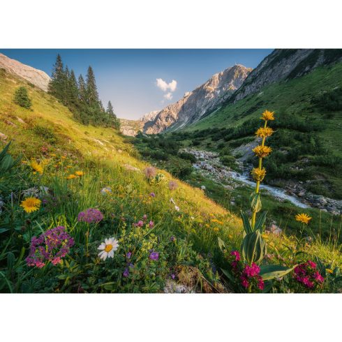 Puzzle 1000 db - Varázslatos völgy