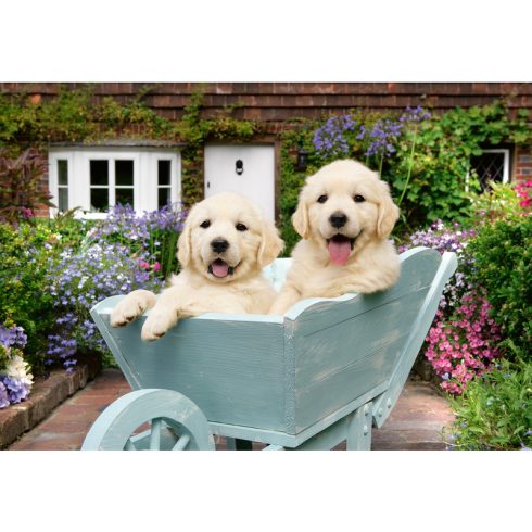 Puzzle 200 db - Golden retriever