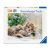 Puzzle 500 db - Cicusok
