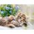 Puzzle 500 db - Cicusok