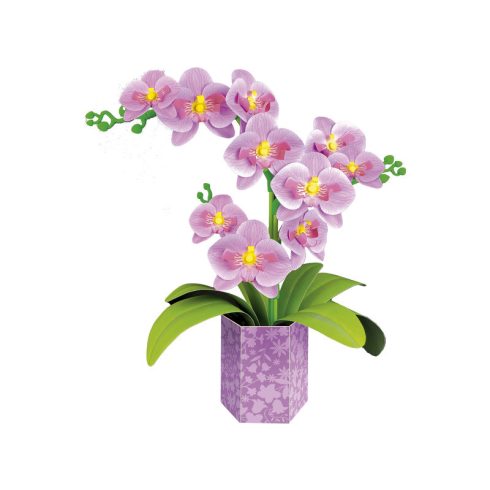 Virágmûvészet - Orchidea