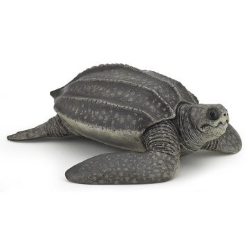 Papo: Bõrhátú teknõs