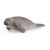Schleich tengeritehén