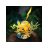 Pokemon - Pikachu