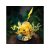 Pokemon - Pikachu
